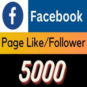 facebook page like follower